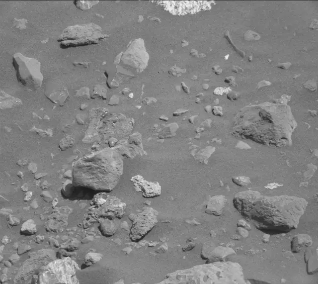 Sol 2018: Mast Camera (Mastcam)