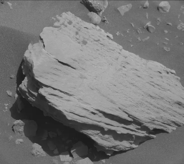 Sol 2018: Mast Camera (Mastcam)