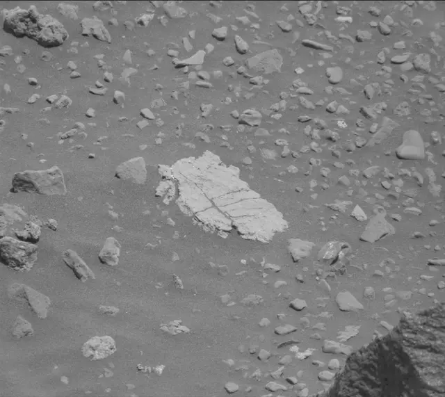 Sol 2019: Mast Camera (Mastcam)