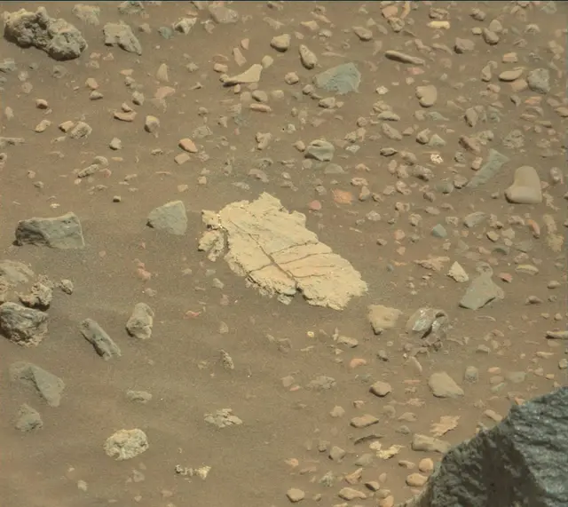 Sol 2019: Mast Camera (Mastcam)
