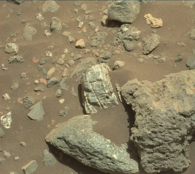Sol 2019: Mast Camera (Mastcam)