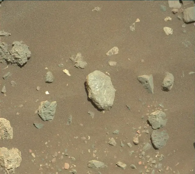 Sol 2019: Mast Camera (Mastcam)