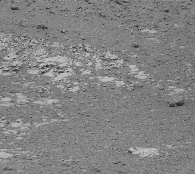 Sol 2019: Mast Camera (Mastcam)