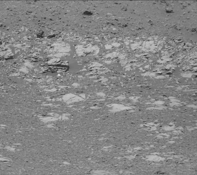 Sol 2019: Mast Camera (Mastcam)