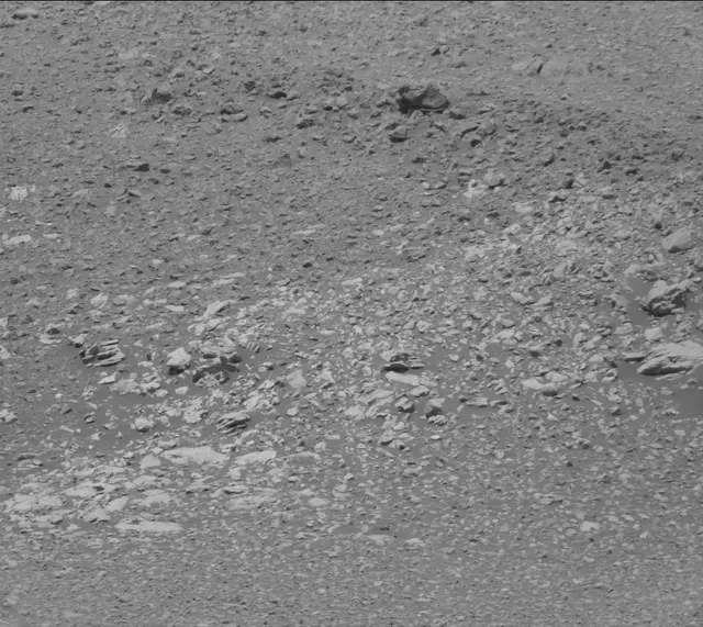 Sol 2019: Mast Camera (Mastcam)