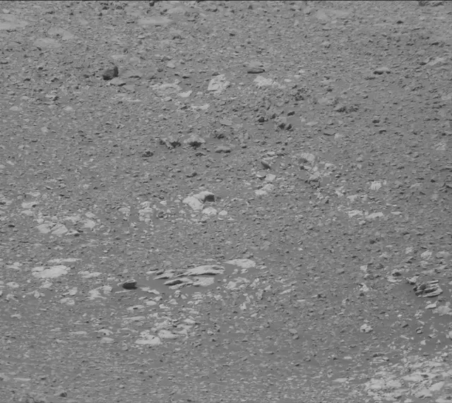 Sol 2019: Mast Camera (Mastcam)