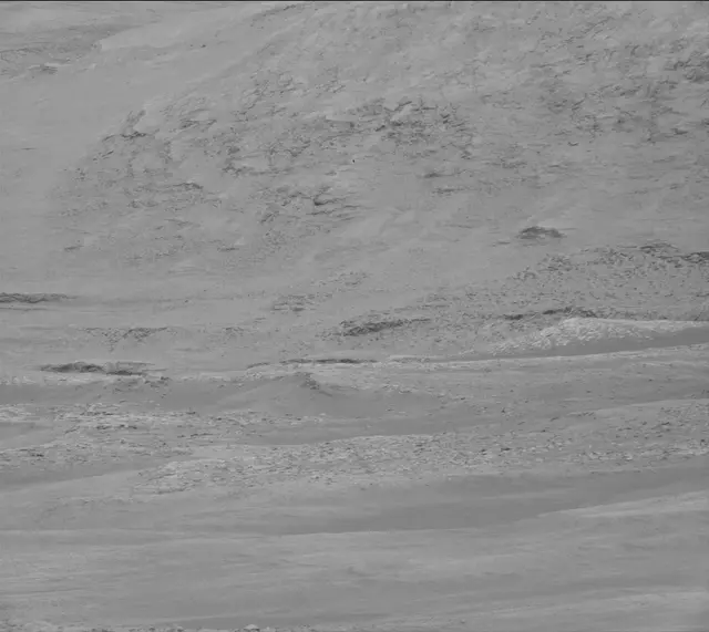 Sol 2019: Mast Camera (Mastcam)