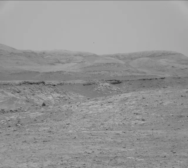 Sol 2019: Mast Camera (Mastcam)