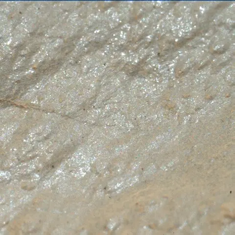 Sol 2019: Mars Hand Lens Imager (MAHLI)