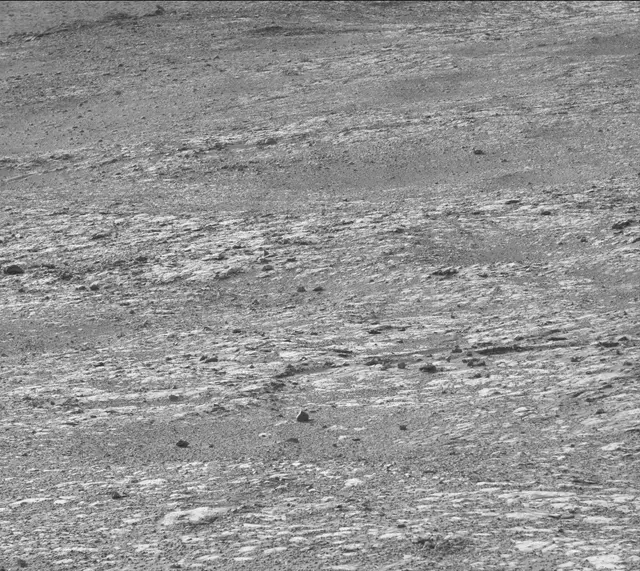 Sol 2020: Mast Camera (Mastcam)