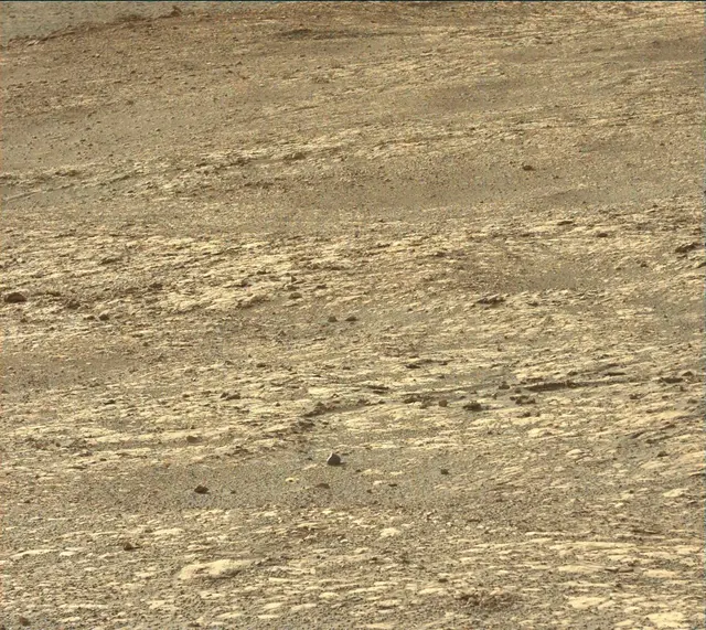 Sol 2020: Mast Camera (Mastcam)