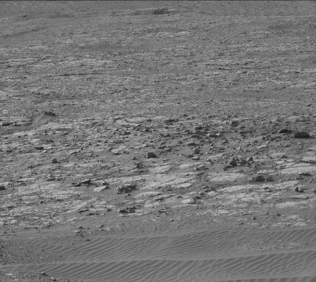 Sol 2020: Mast Camera (Mastcam)
