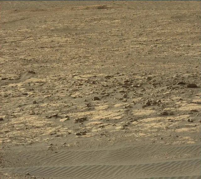 Sol 2020: Mast Camera (Mastcam)