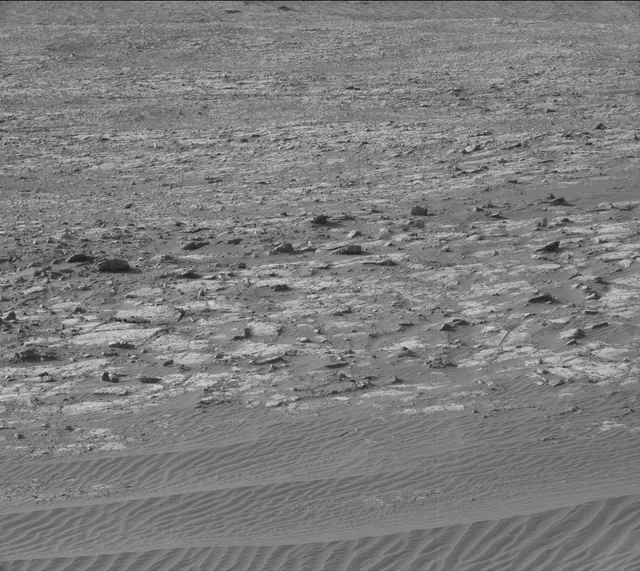 Sol 2020: Mast Camera (Mastcam)