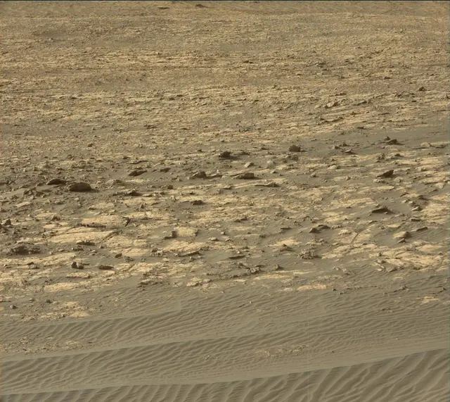 Sol 2020: Mast Camera (Mastcam)