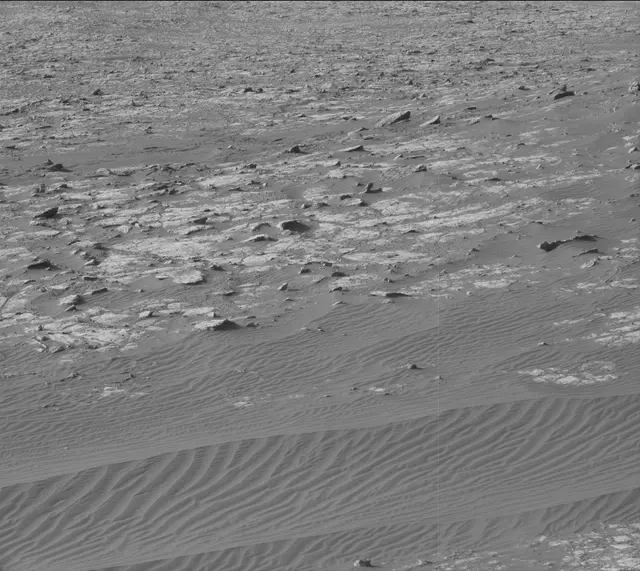 Sol 2020: Mast Camera (Mastcam)