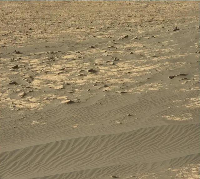 Sol 2020: Mast Camera (Mastcam)