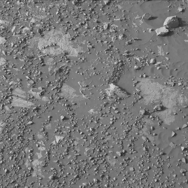 Sol 2020: Mast Camera (Mastcam)