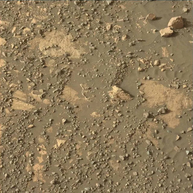 Sol 2020: Mast Camera (Mastcam)
