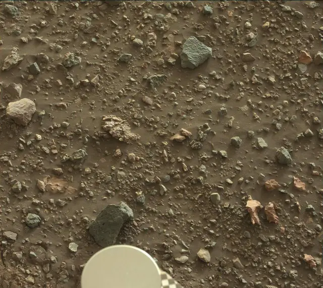 Sol 2020: Mast Camera (Mastcam)
