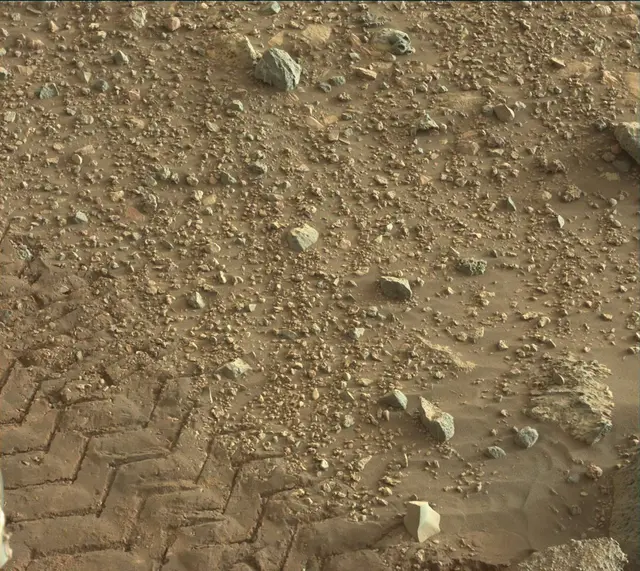 Sol 2020: Mast Camera (Mastcam)