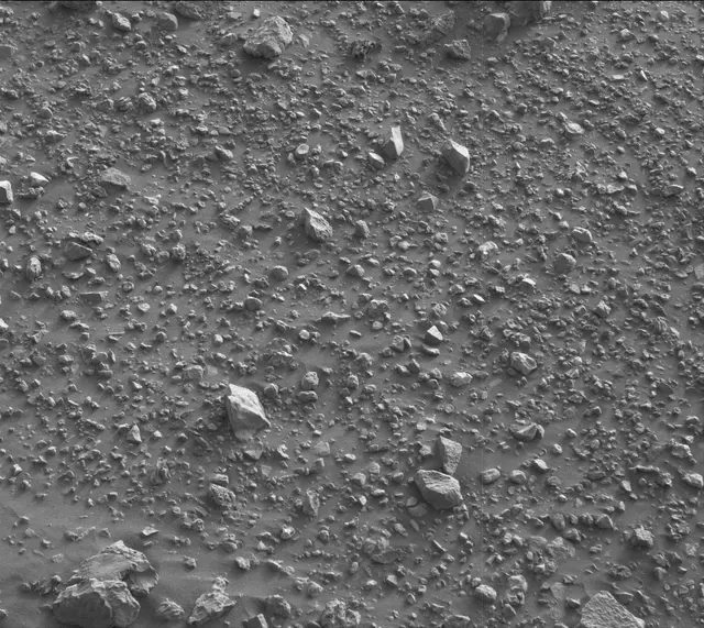 Sol 2020: Mast Camera (Mastcam)
