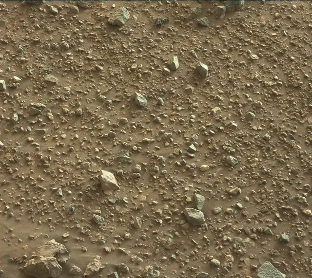 Sol 2020: Mast Camera (Mastcam)