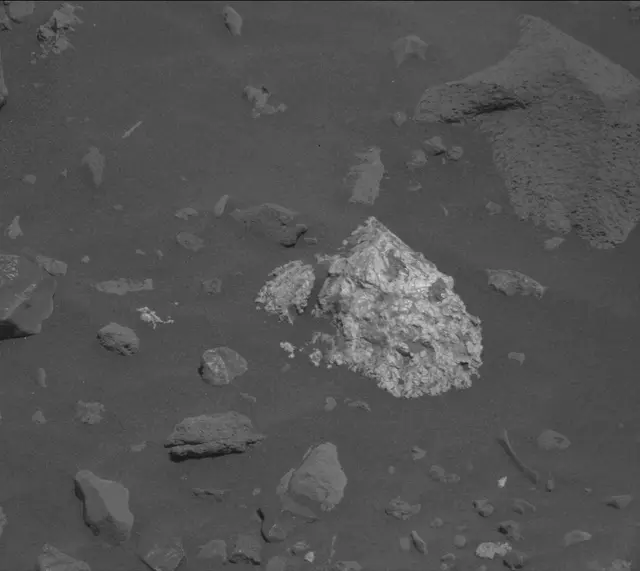Sol 2020: Mast Camera (Mastcam)