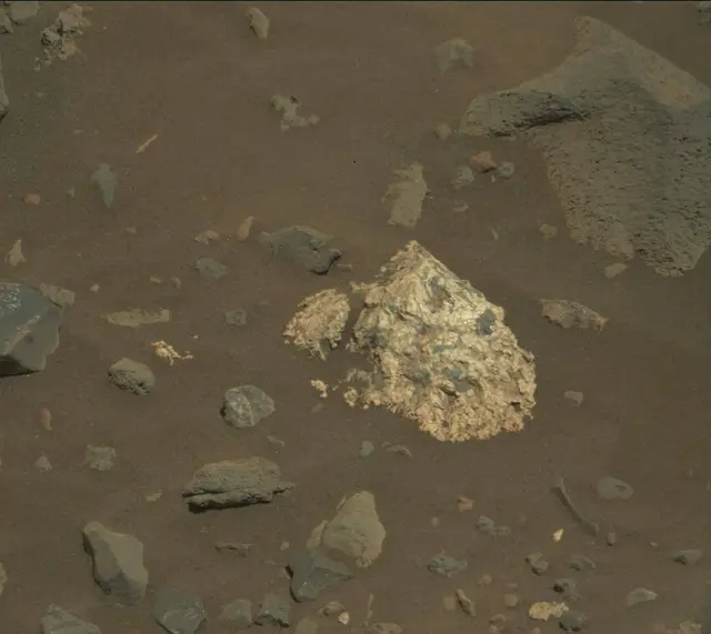 Sol 2020: Mast Camera (Mastcam)