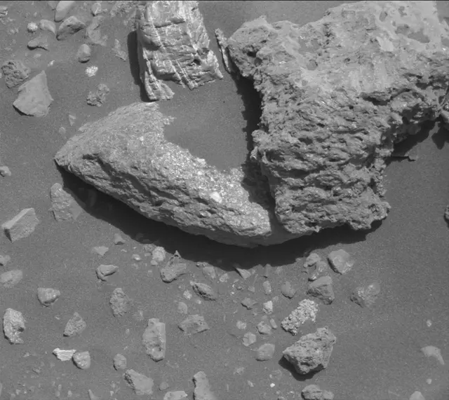 Sol 2020: Mast Camera (Mastcam)