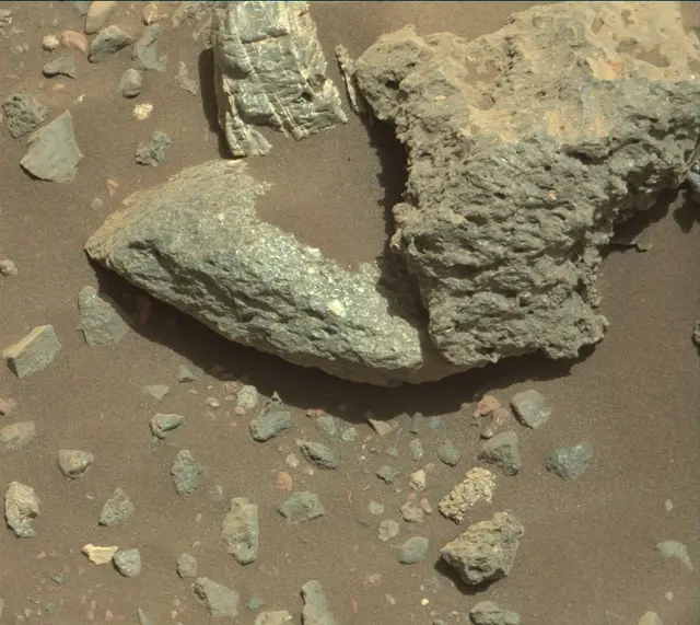 Sol 2020: Mast Camera (Mastcam)