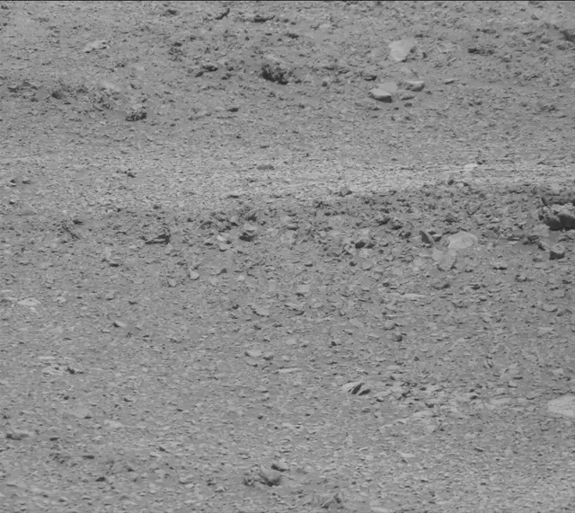 Sol 2020: Mast Camera (Mastcam)