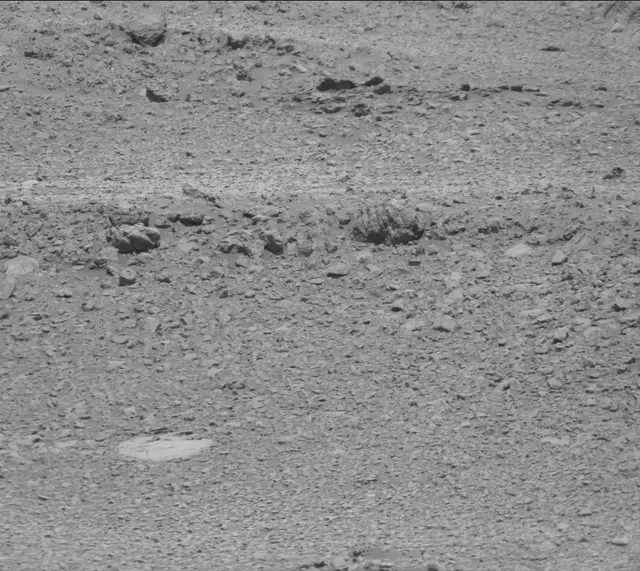 Sol 2020: Mast Camera (Mastcam)