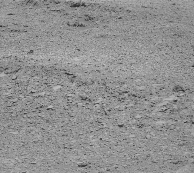 Sol 2020: Mast Camera (Mastcam)