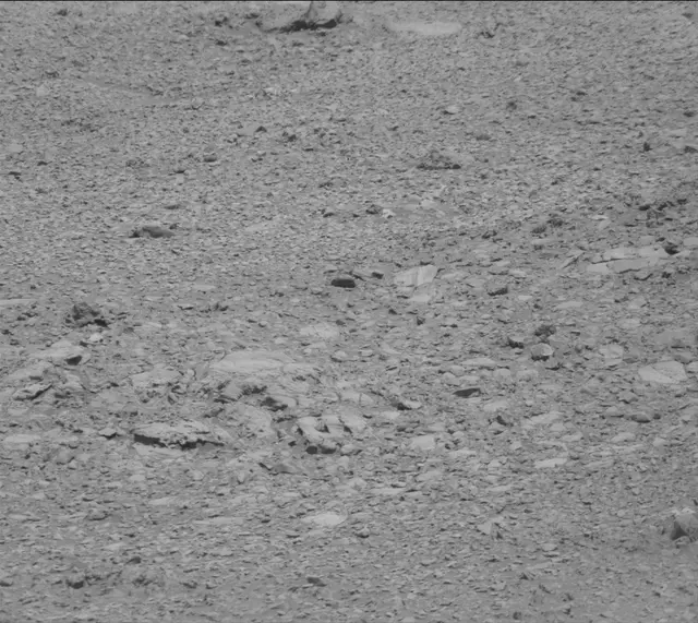 Sol 2020: Mast Camera (Mastcam)