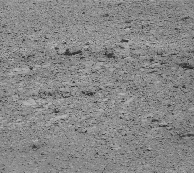 Sol 2020: Mast Camera (Mastcam)