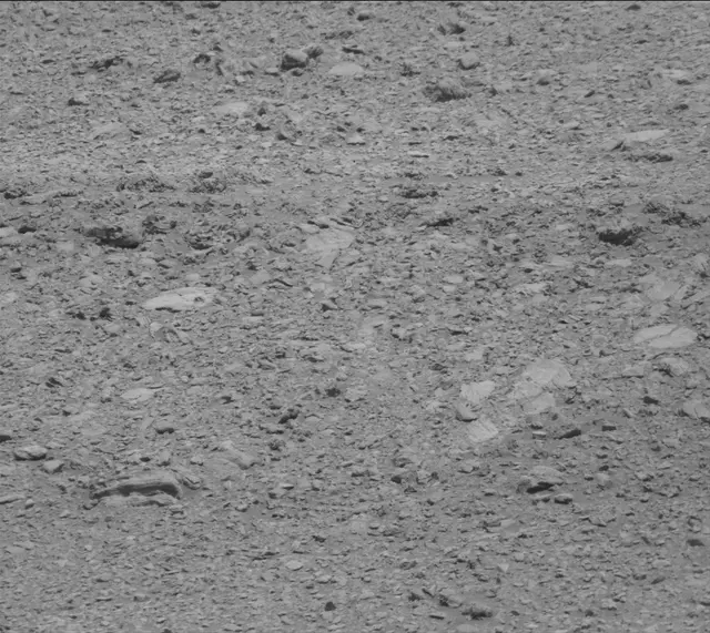 Sol 2020: Mast Camera (Mastcam)