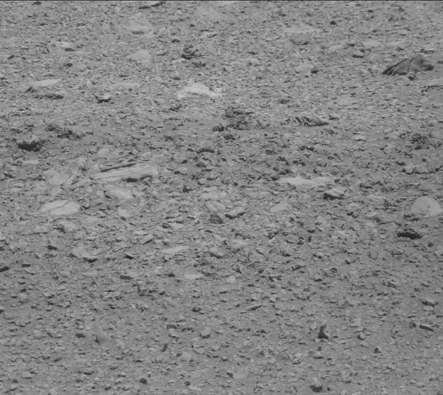 Sol 2020: Mast Camera (Mastcam)
