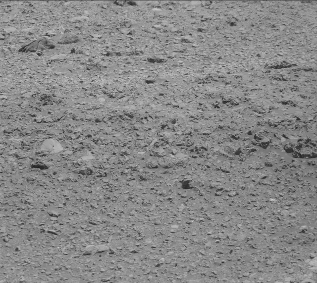 Sol 2020: Mast Camera (Mastcam)