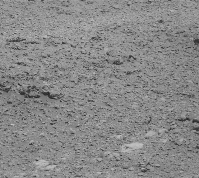 Sol 2020: Mast Camera (Mastcam)