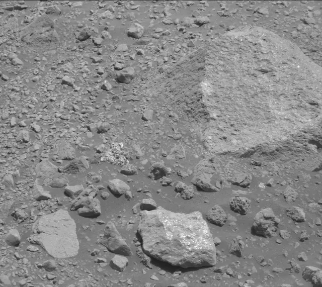 Sol 2020: Mast Camera (Mastcam)
