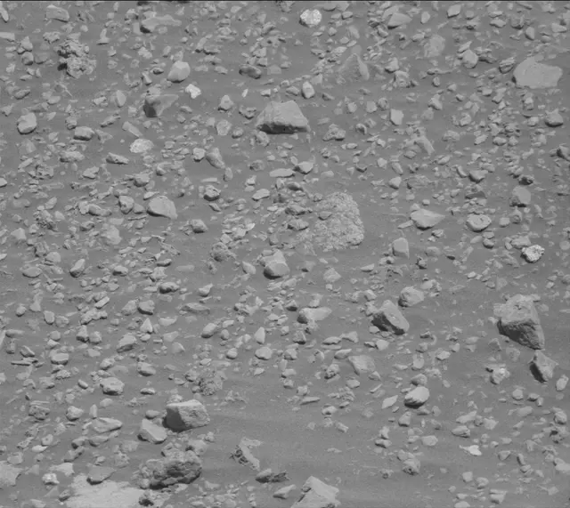 Sol 2020: Mast Camera (Mastcam)