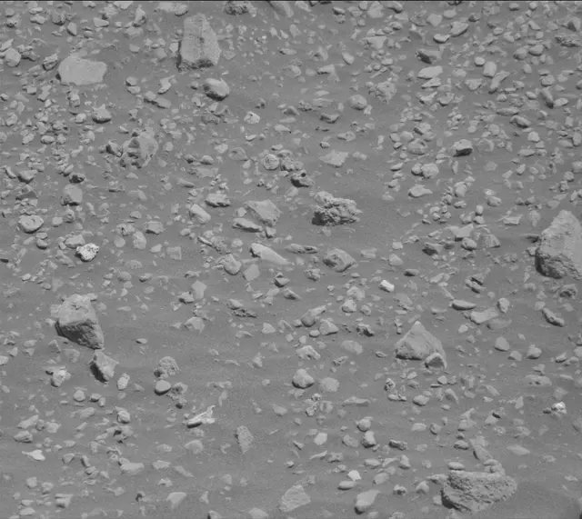 Sol 2020: Mast Camera (Mastcam)