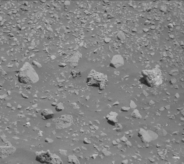 Sol 2020: Mast Camera (Mastcam)