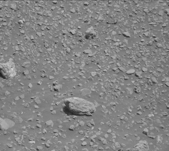 Sol 2020: Mast Camera (Mastcam)