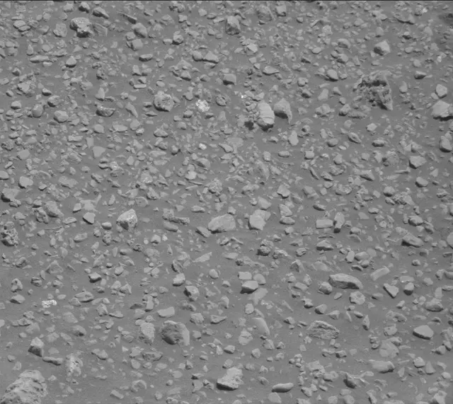 Sol 2020: Mast Camera (Mastcam)