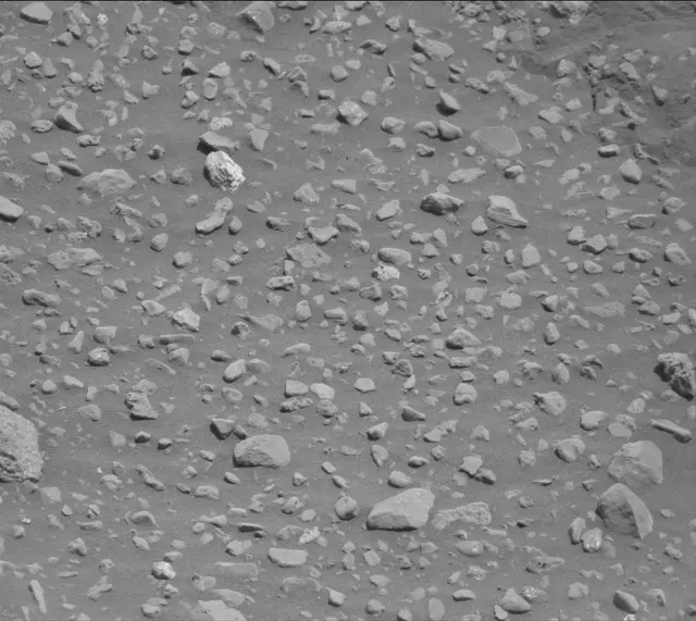 Sol 2020: Mast Camera (Mastcam)