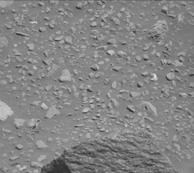 Sol 2020: Mast Camera (Mastcam)