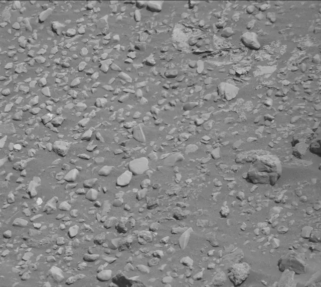 Sol 2020: Mast Camera (Mastcam)