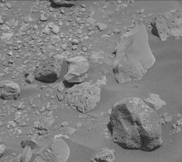 Sol 2020: Mast Camera (Mastcam)